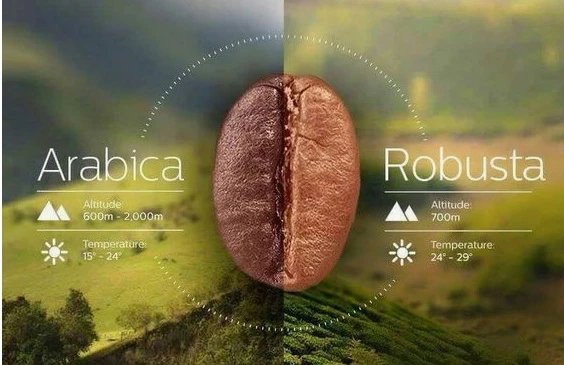 uống cà phê ngon