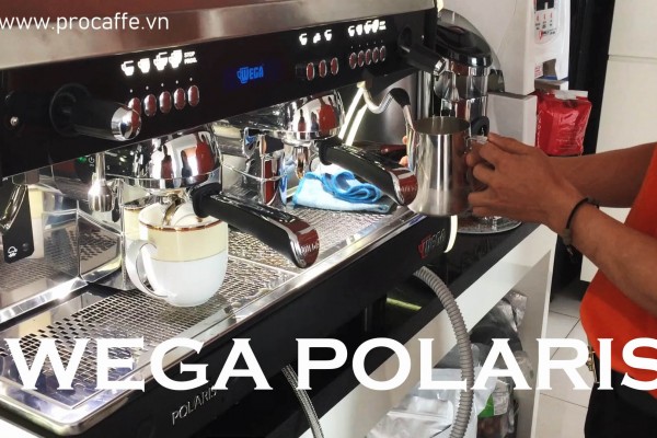 Máy pha cà phê Wega Polaris
