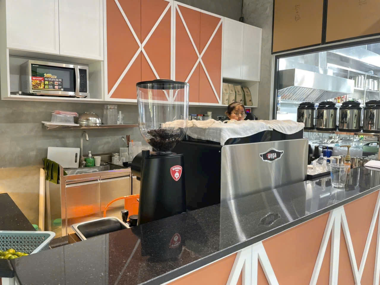 combo wega pegaso 1 group & eureka firenze 75