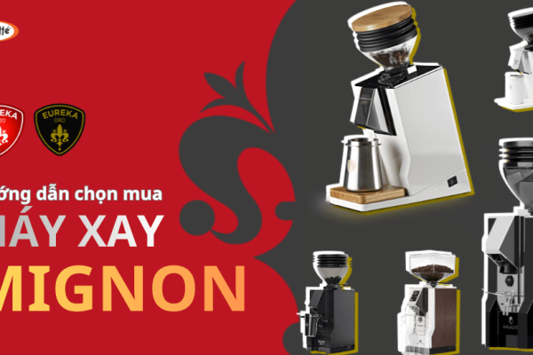 Máy Xay Cà Phê Mignon Nào Dành Cho Bạn? Hướng Dẫn Chọn Eureka Mignon
